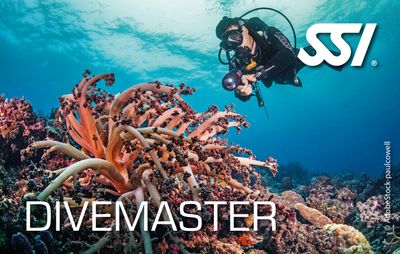 SSI DIVEMASTER COURSE