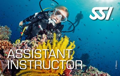 AI - ASSISTAN INSTRUCTOR COURSE