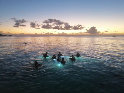 Night Snorkeling