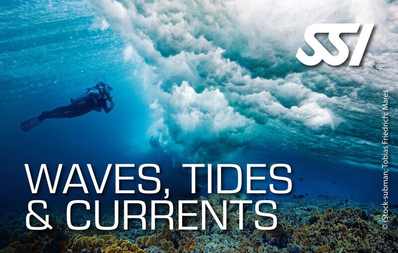 Waves, Tides and Currents Diver