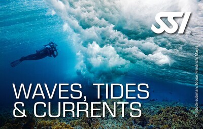 Waves, Tides and Currents Diver