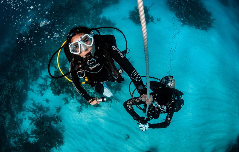 REFERRAL DIVES( CHECK OUT DIVES)