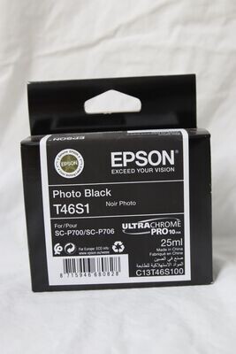 Epson T46S1 Photo Black Ink Cartridge