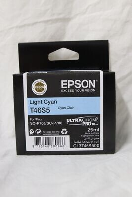 Epson T46S5 Light Cyan Ink Cartridge