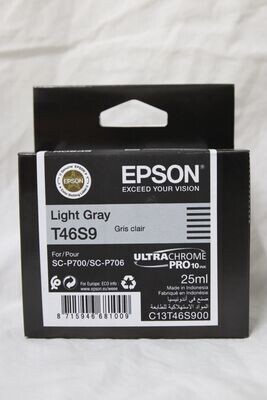 Epson T46S9 Light Gray Ink Cartridge