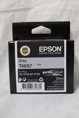 Epson T46S7 Gray Ink Cartridge