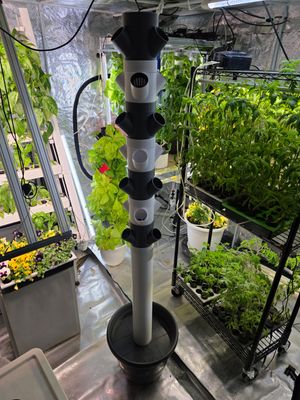 3D-HydroBalkonien – Für Balkone mit 1m Brüstung: Höhe ca. 1,70m | Pflanzturm mit 21 Pflanzstationen, ⌀40 cm Behälter!