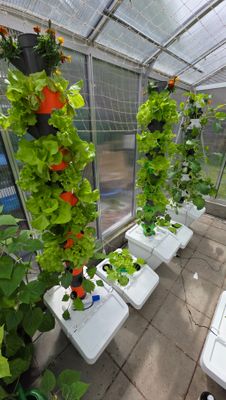 HydroFlexTower 9+ | Für drinnen & draußen 🌿 1,64 m hoher Pflanzturm mit 27 Pflanzstationen – erweiterbar +21 Stationen! 60 Liter Behälter mit Klappe . 🛠️