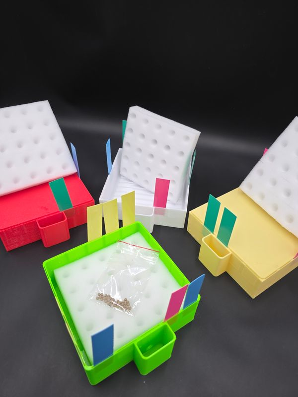 3 kaufen, 4 erhalten - Anzuchtbox-Set mit Deckel, 200 Würfeln, 40 hydroponischer Salat-Samen und 20 Schildern inklusive