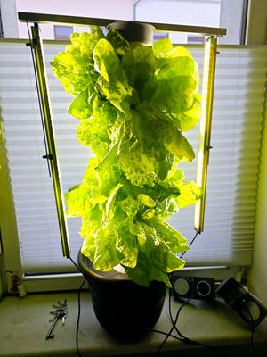 Hydrotower 4+ | Runder ⌀ 30 cm Behälter 🛠️ Kompakt & erweiterbar 🌿 71 cm hoch mit 12 Pflanzstationen, perfekt für Fensterbereiche. 💡 Bei Bedarf erweiterbar auf 21 Stationen