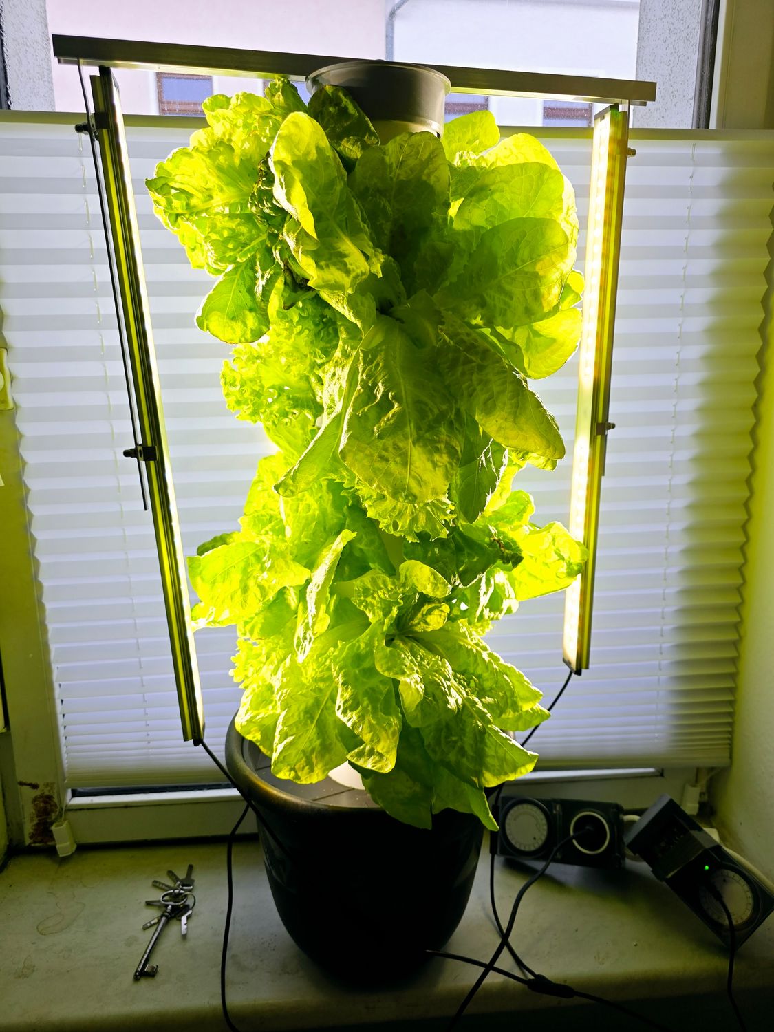 Hydrotower 4+ | Runder ⌀ 30 cm Behälter 🛠️ Kompakt & erweiterbar 🌿 71 cm hoch mit 12 Pflanzstationen, perfekt für Fensterbereiche. 💡 Bei Bedarf erweiterbar auf 21 Stationen