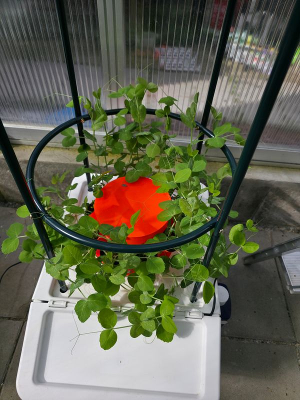 HydroTower 1+ | Ab 37 Liter Behälter mit Klappe 🛠️Für Anzucht aller Gemüse, Tomaten, Gurken und Erbsen 🌿 50 cm hoher Pflanzturm mit 9 Pflanzstationen + erweiterbar auf 63 Pflanzplätze!