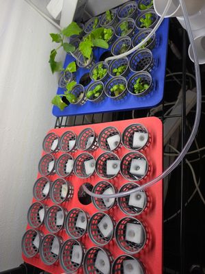 3 kaufen, 4 erhalten - Anzuchtstation-Set für 100 Pflanzen, inklusive 20 Schilder und 20 Salat Samen 3 kaufen, 4 erhalten - Anzuchtstation-Set für 100 Pflanzen, inklusive 20 Schilder und 20 Salat Samen