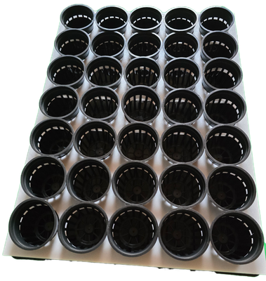 Anzuchtstation einzeln f&uuml;r 35 Pflanzen, inklusive 10 Salat Samen