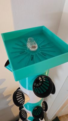 ⭐Anzucht-Station [3D-Druck] 14x14 cm Aufsatz mit Ablauf, inklusive 25 Anzucht-Schaumstoffw&uuml;rfel und 10 Salat-Samen