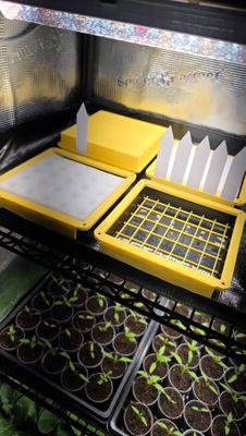 3 kaufen, 4 erhalten - Anzuchtbox-Set mit Deckel, 100 Würfeln, 10 hydroponischer Salat-Samen und 10 Schildern inklusive