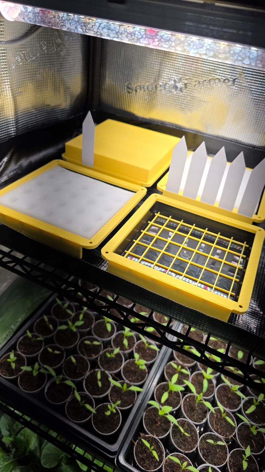 3 kaufen, 4 erhalten - Anzuchtbox-Set mit Deckel, 100 Würfeln, 10 hydroponischer Salat-Samen und 10 Schildern inklusive