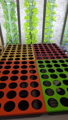 3 kaufen, 4 erhalten -  Anzuchtstation-Set f&uuml;r 140 Pflanzen, inklusive 20 Salat Samen