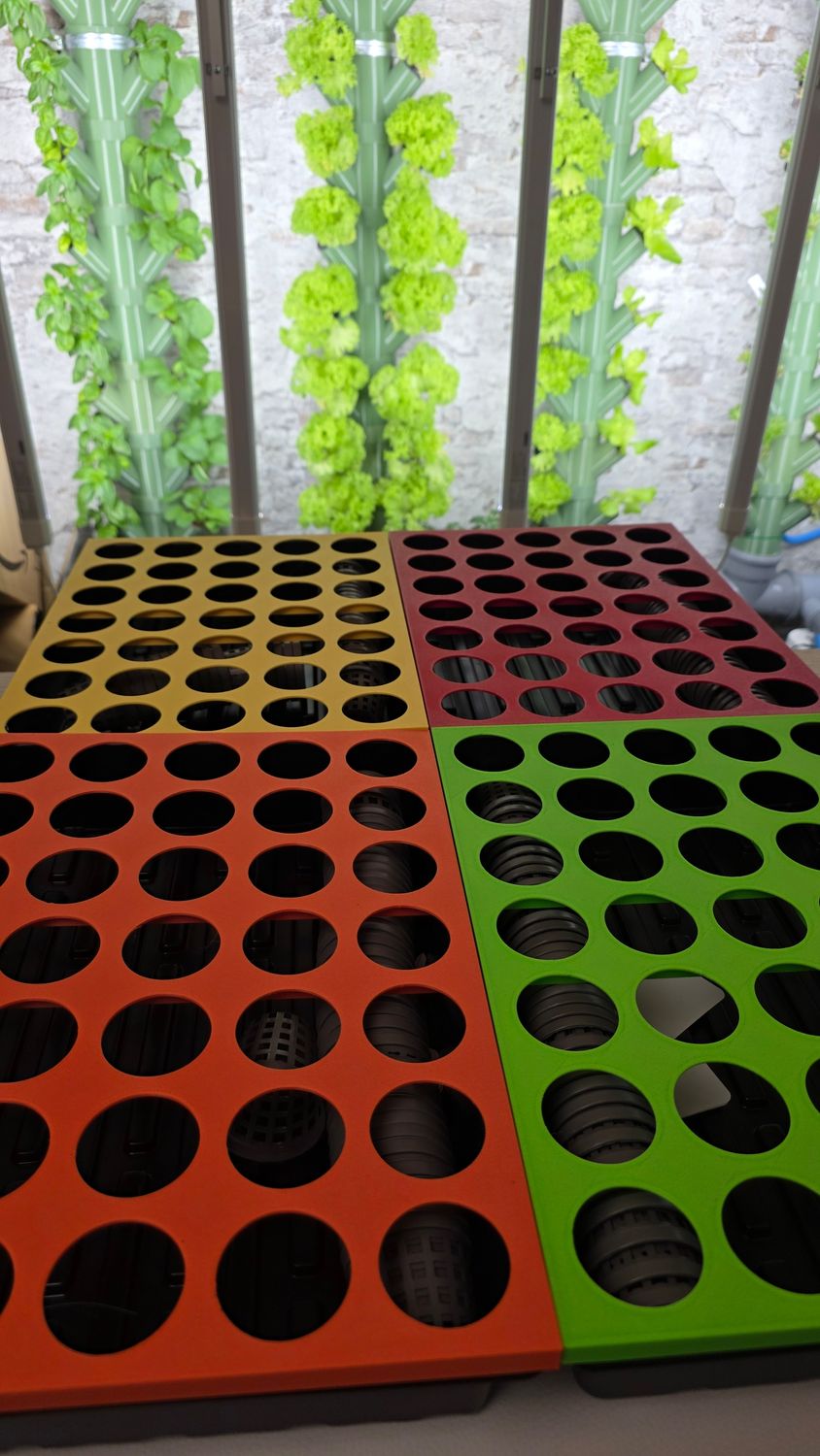 3 kaufen, 4 erhalten -  Anzuchtstation-Set f&uuml;r 140 Pflanzen, inklusive 20 Salat Samen