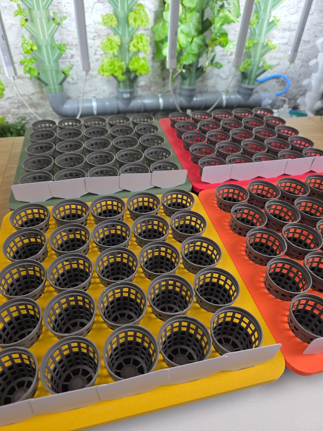 3 kaufen, 4 erhalten - Anzuchtstation-Set f&uuml;r 100 Pflanzen, inklusive 20 Schilder und 20 Salat Samen