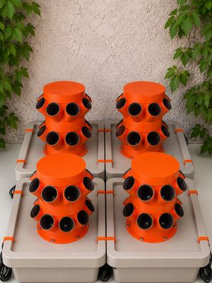 ⭐Pakete | HydroFlex Largo Duo | Set 3+1 | Ab 72 Pflanzen