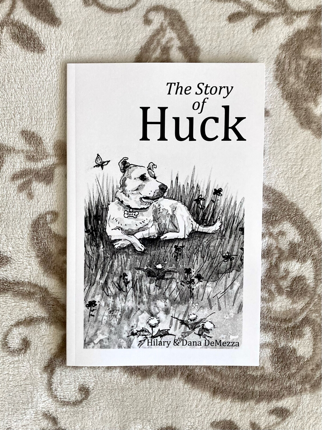 The Story Of Huck