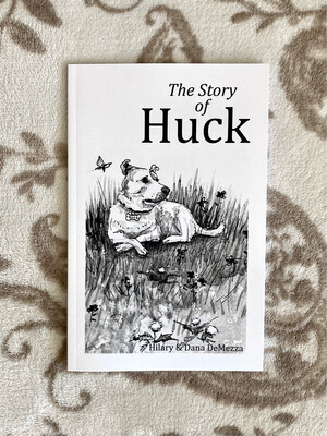 The Story Of Huck