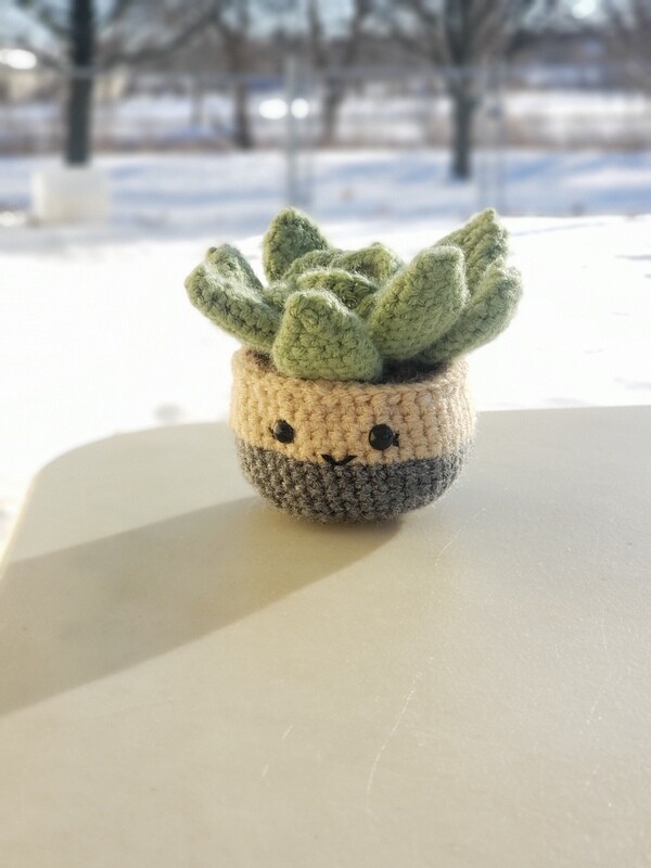 Stuffed Succulent