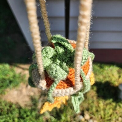 Sunflower Hanging Plant