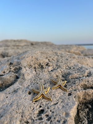 Starfish Adorned Earrings