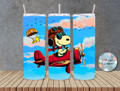 Snoopy Plane