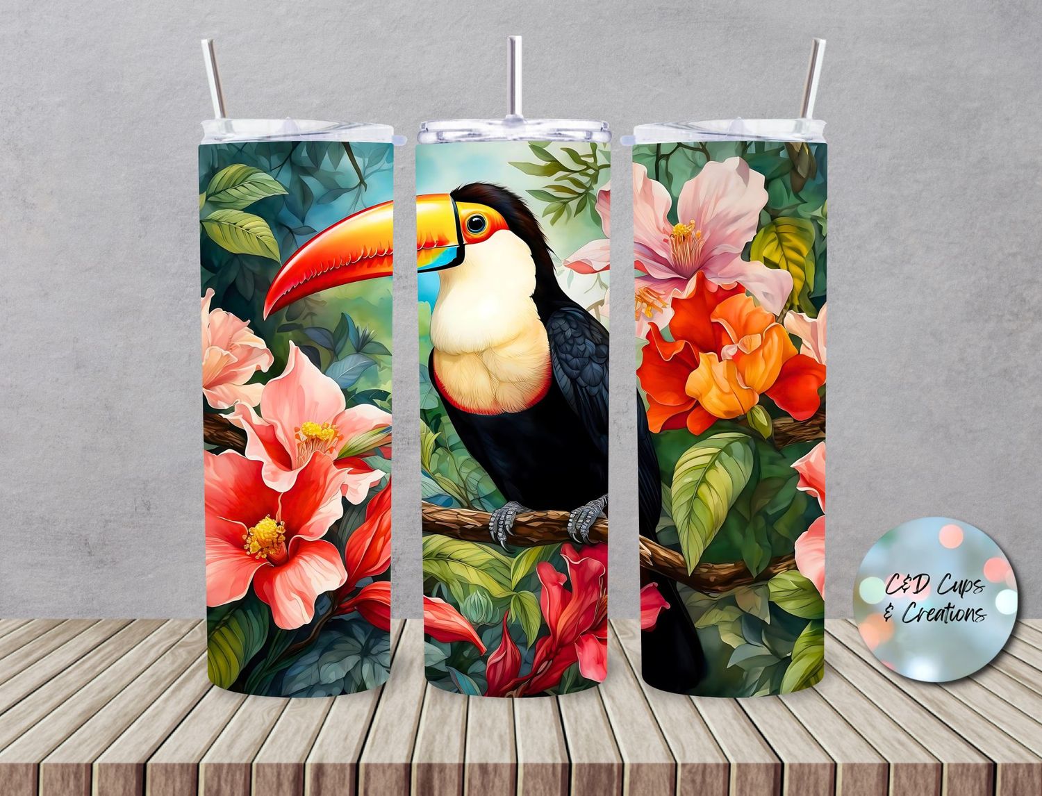 Toucan Bird