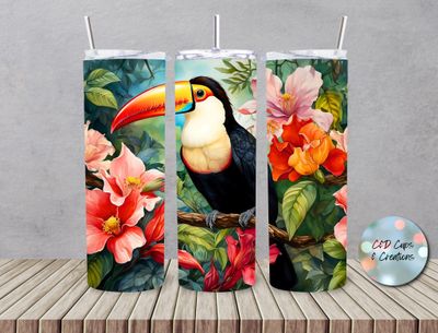 Toucan Bird