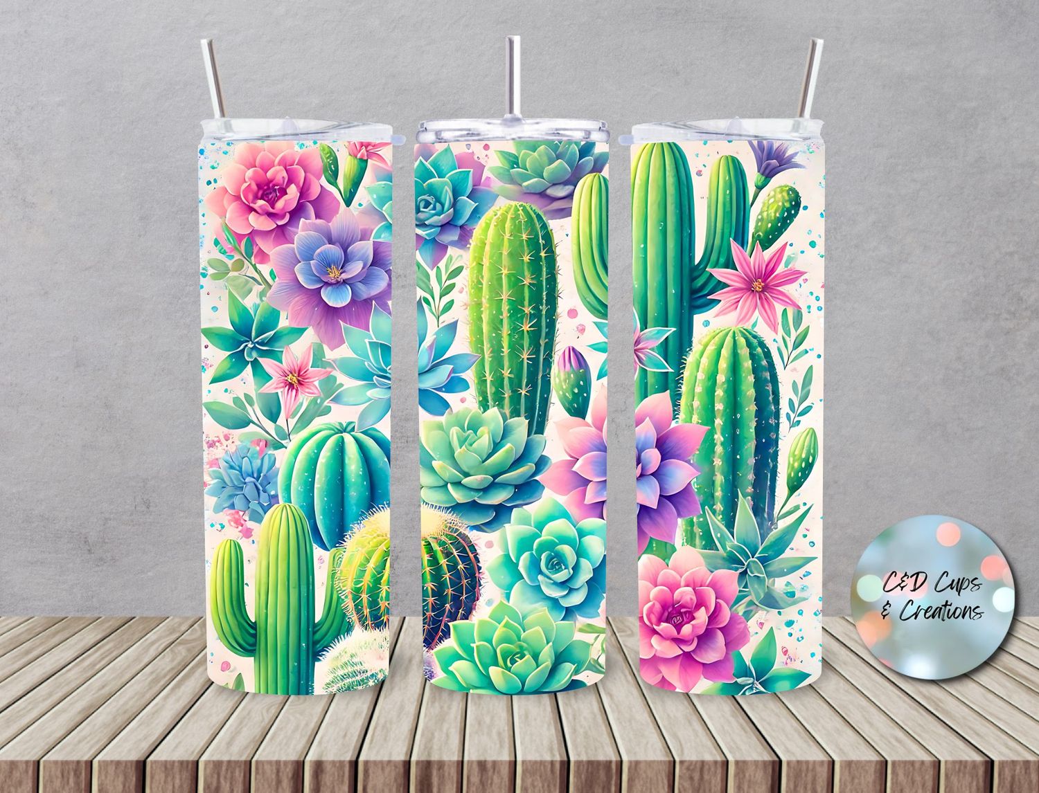 Succulents Cactus