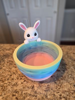 3D Bunny Pastel Basket