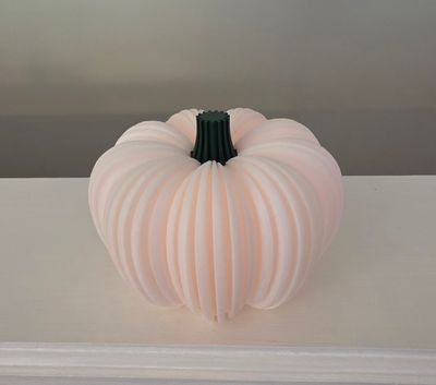 3D Ribbed Pumpkin