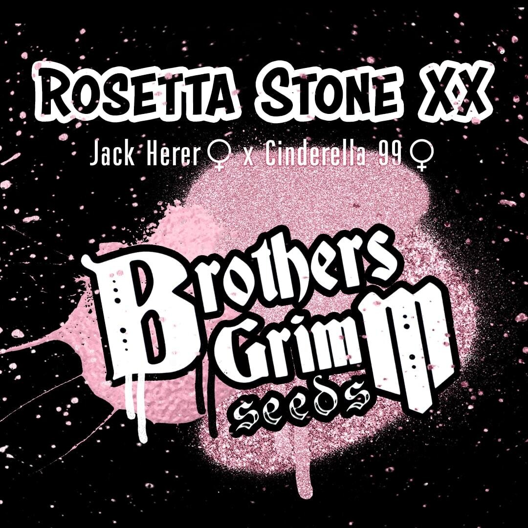 Rosetta Stone XX Photoperiod Feminized 3 PK