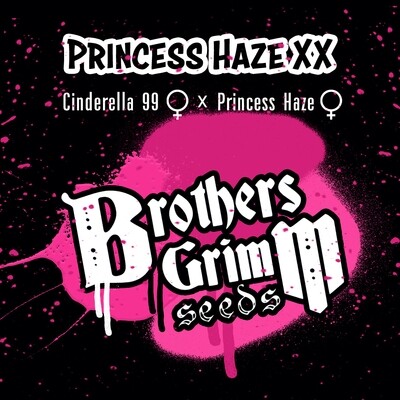 Blaze Brothers
