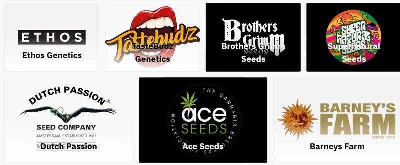 Shop Breeder Specialty Packs