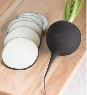 Spanish Black Radish