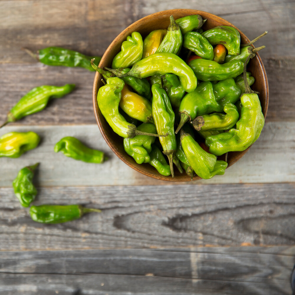Shishito Peppers