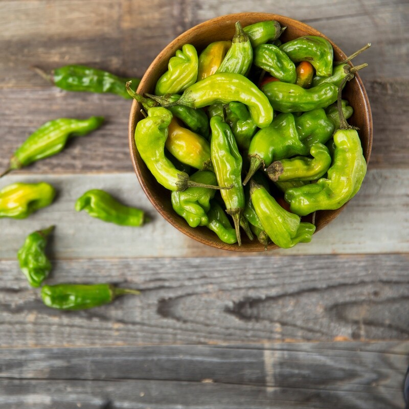Shishito Peppers