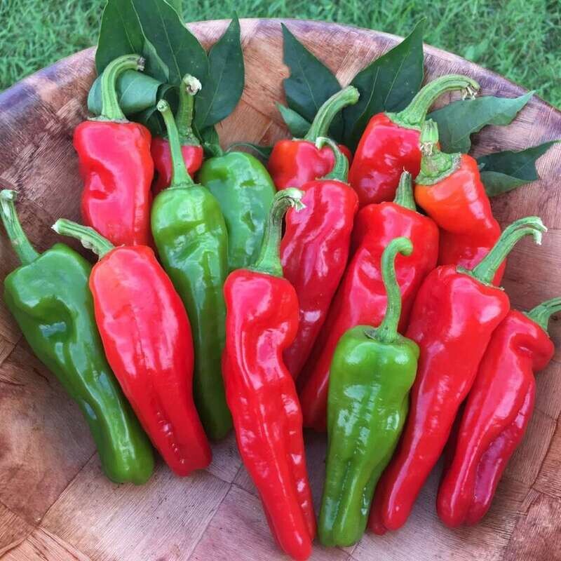 Italian Fry Peppers