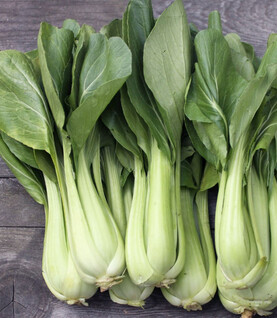 Bok Choy