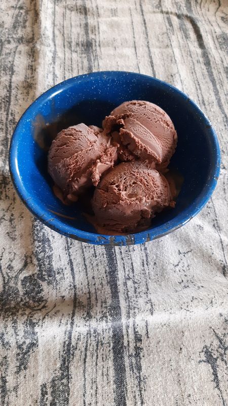 Frosty Delight Homemade Cocoa Ice Cream - Single Scoop