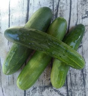 Cucumbers