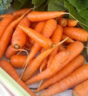 Bulk Carrots