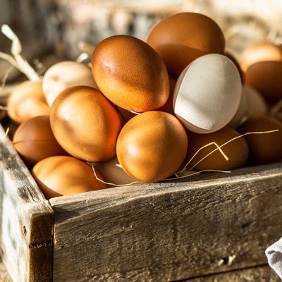 Pastured Eggs