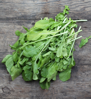 Arugula