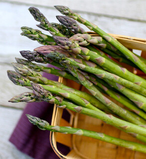 Asparagus